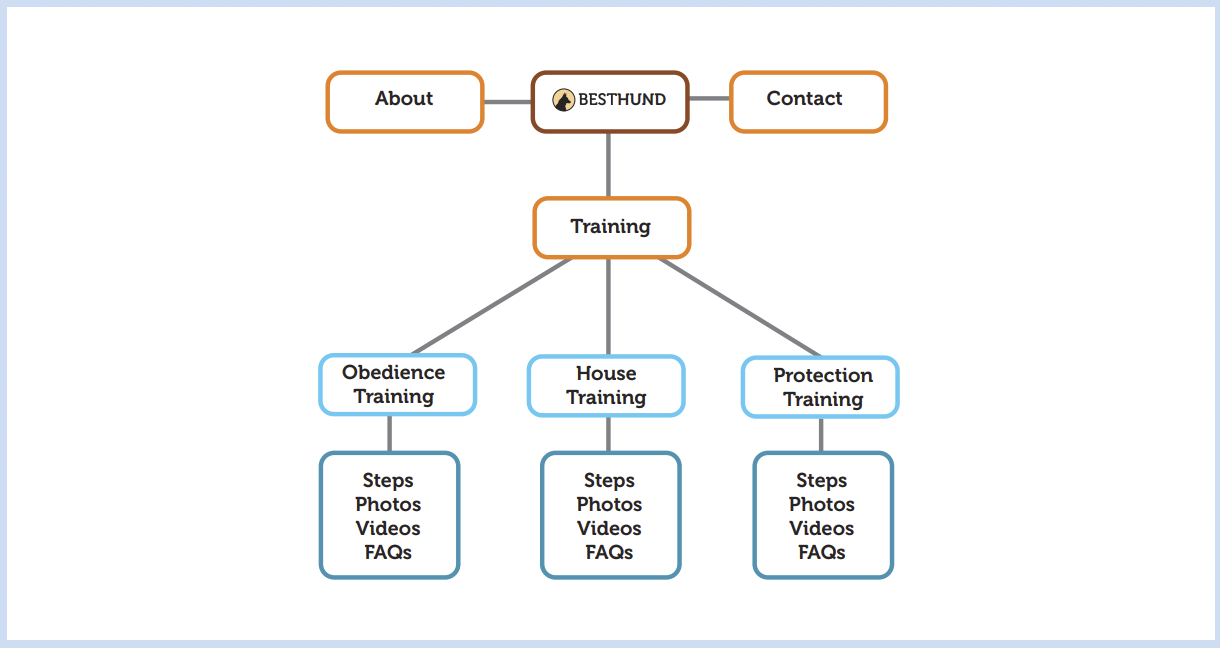 Information Architecture